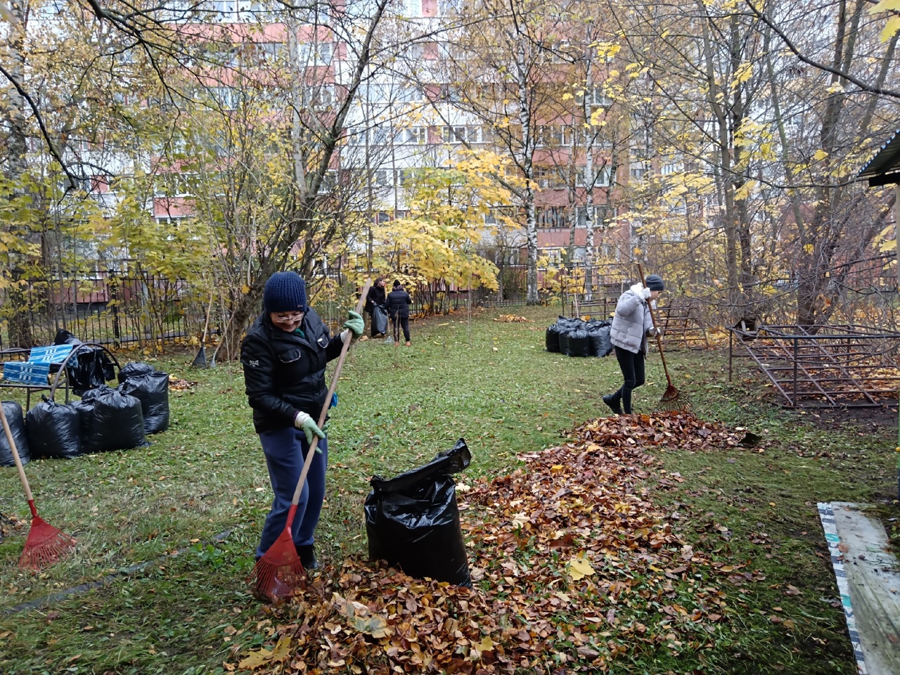 субботник 7